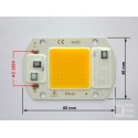 COB LED module 20W warm white with 220V integrated driver, 60x40mm